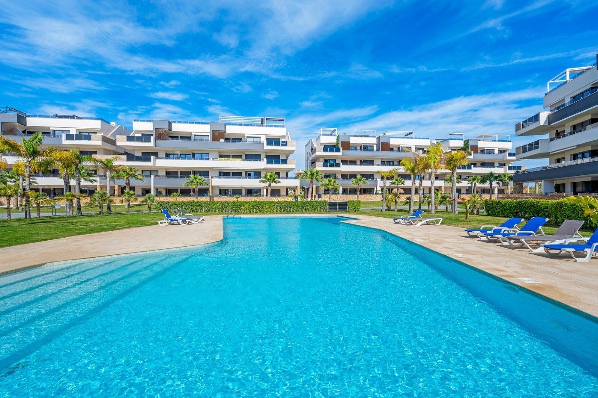 Resale - Apartment / flat - Playa Flamenca - Costa Blanca