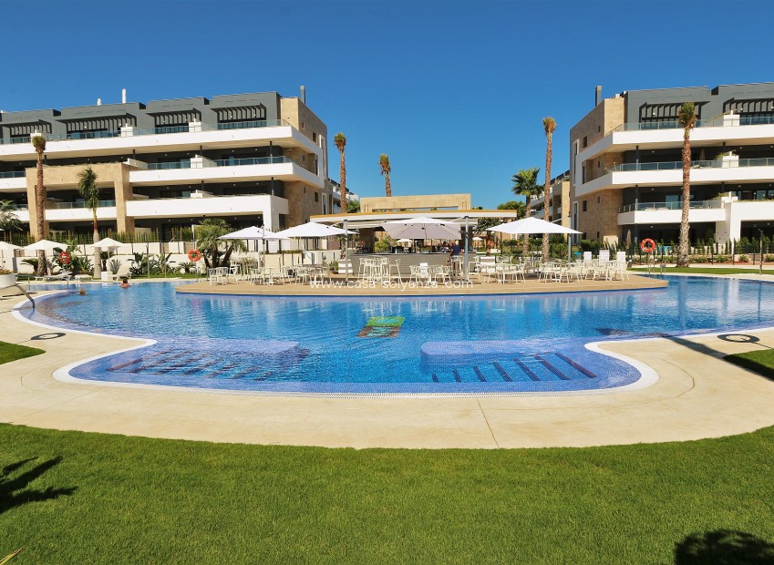 Resale - Apartment / flat - Playa Flamenca - Costa Blanca