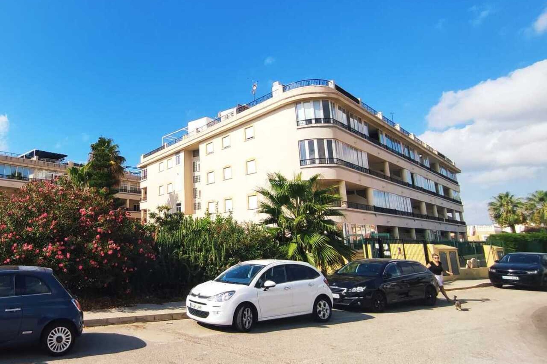 Resale - Apartment / flat - Playa Flamenca - Costa Blanca