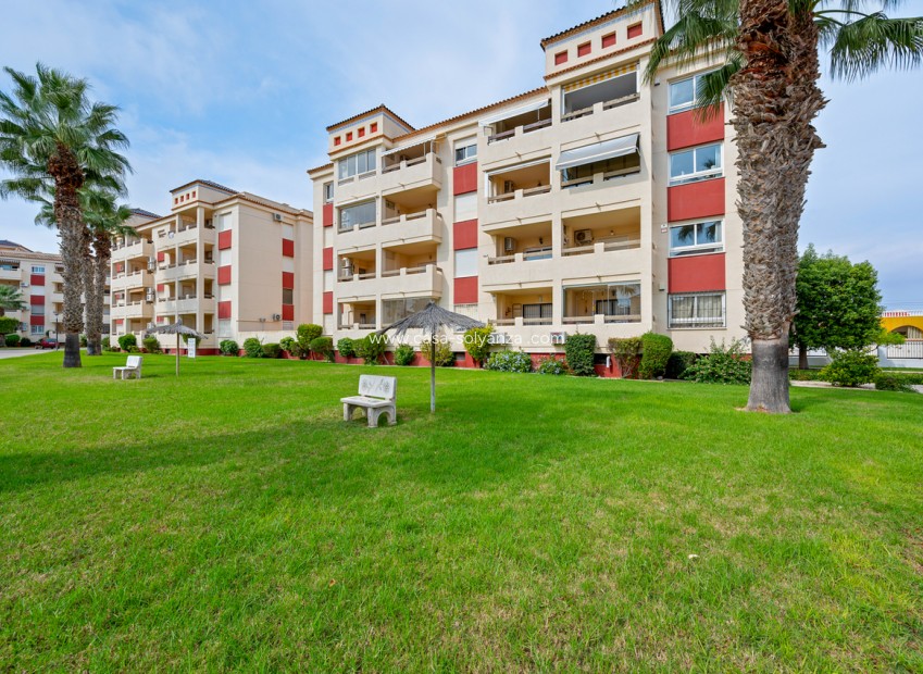 Resale - Apartment / flat - Playa Flamenca - Costa Blanca