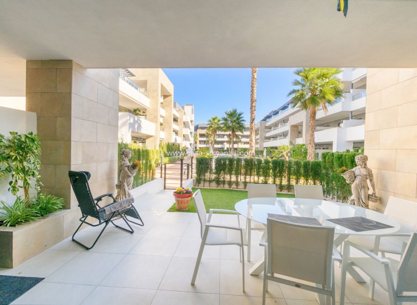 Resale - Apartment / flat - Playa Flamenca - Flamenca Village