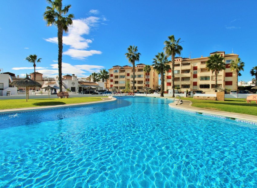 Resale - Apartment / flat - Playa Flamenca
