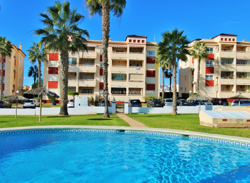 Resale - Apartment / flat - Playa Flamenca