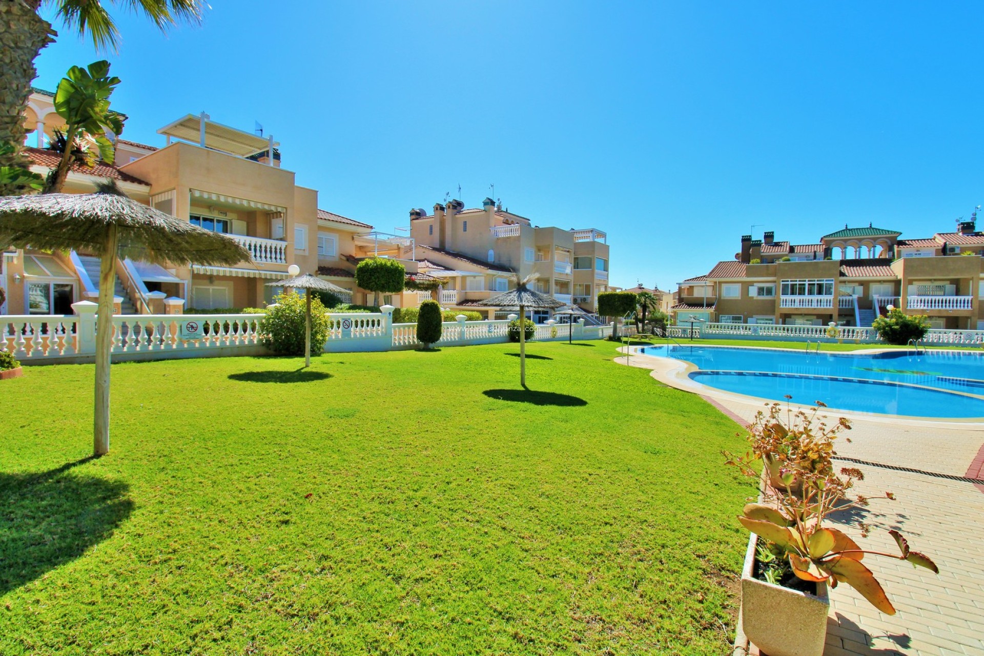 Resale - Apartment / flat - Playa Flamenca