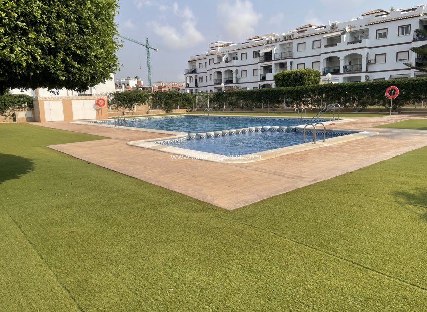 Resale - Apartment / flat - Punta Prima - Costa Blanca