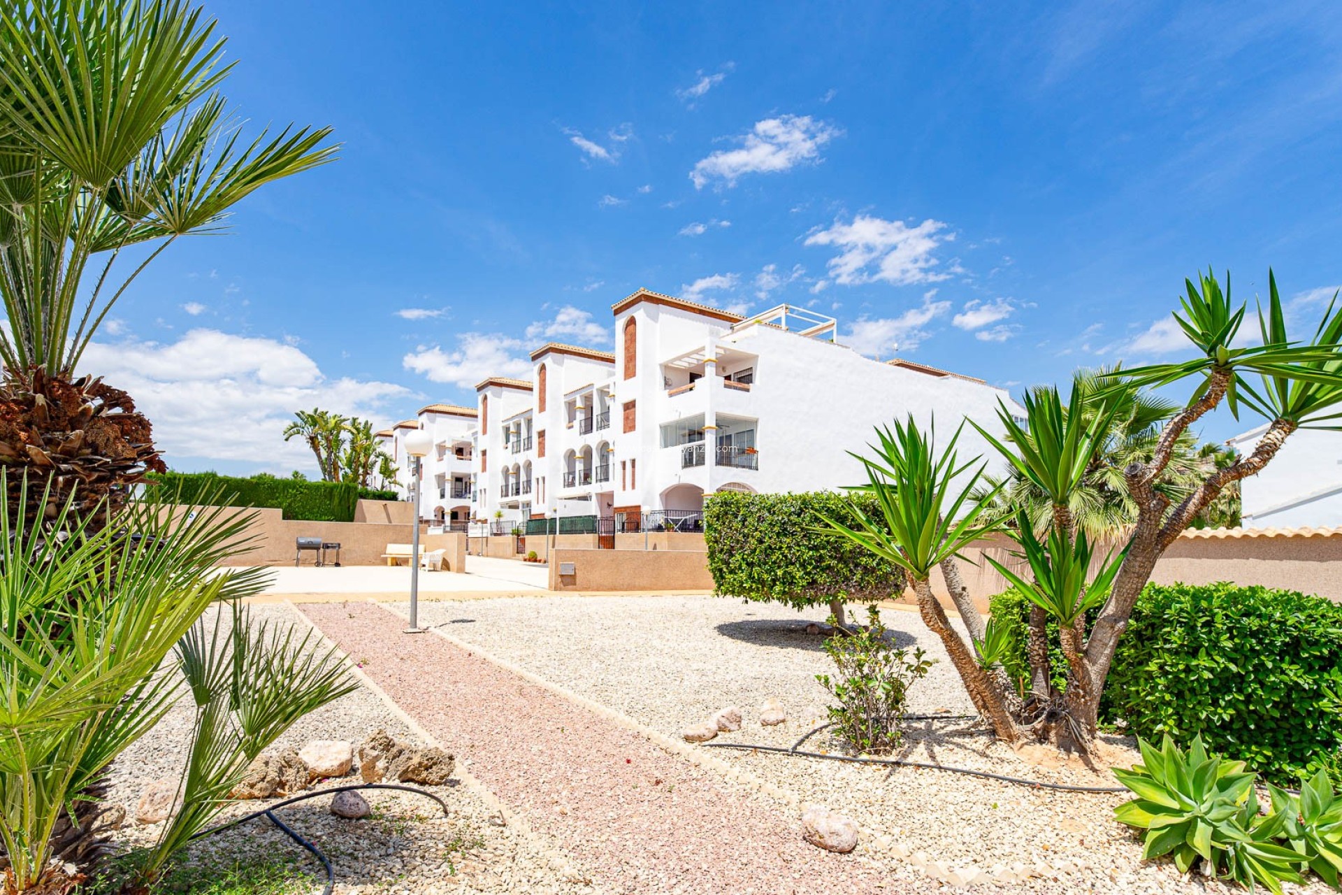 Resale - Apartment / flat - Punta Prima - La Ciñuelica