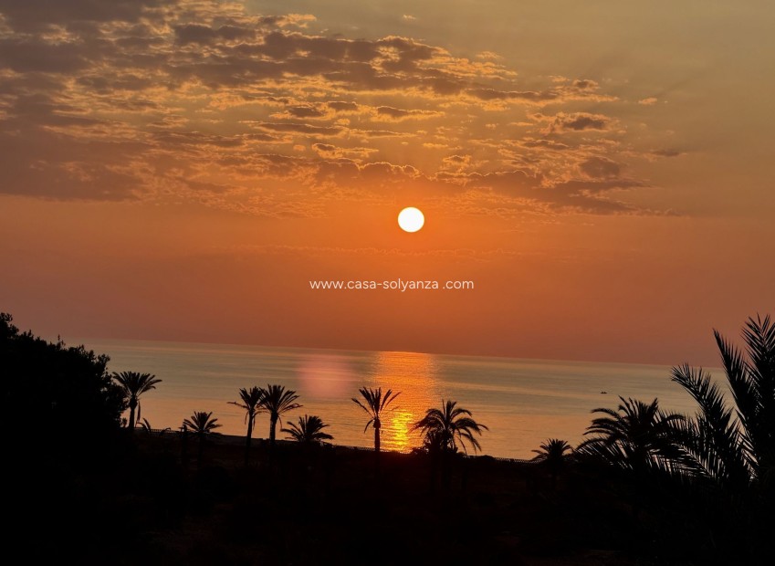 Resale - Apartment / flat - San Miguel de Salinas - Inland