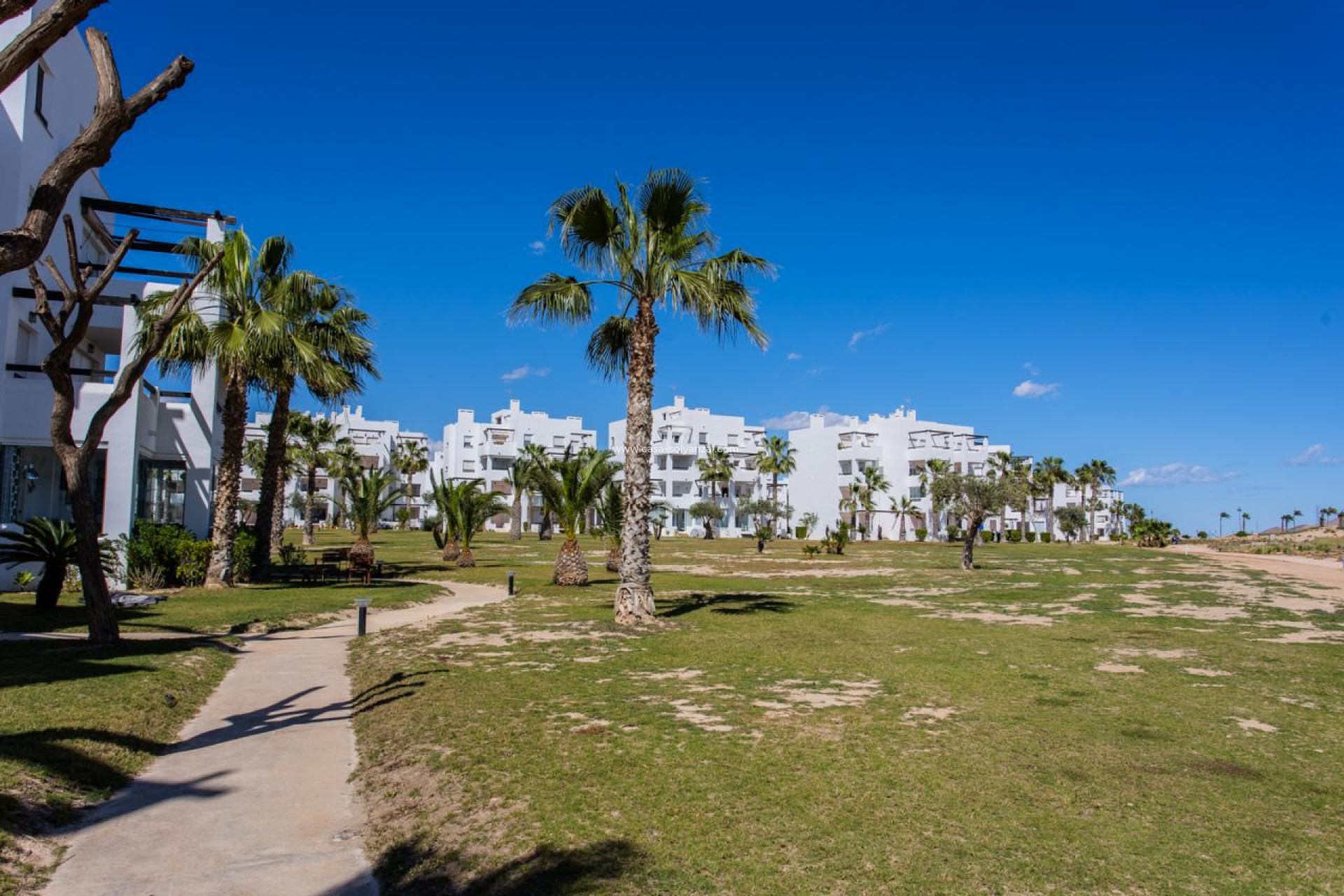 Resale - Apartment / flat - Torre Pacheco - Inland