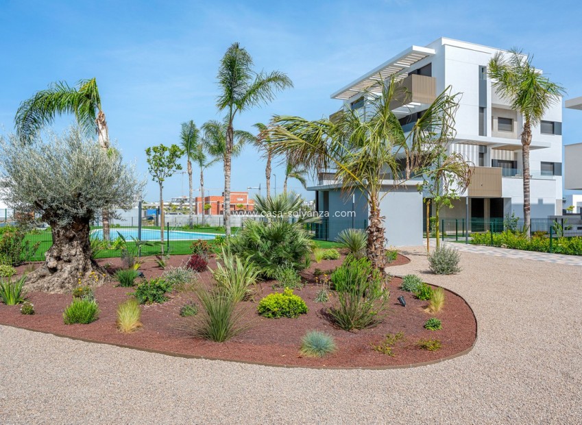 Resale - Apartment / flat - Torre Pacheco - Santa Rosalia Lake and Life Resort