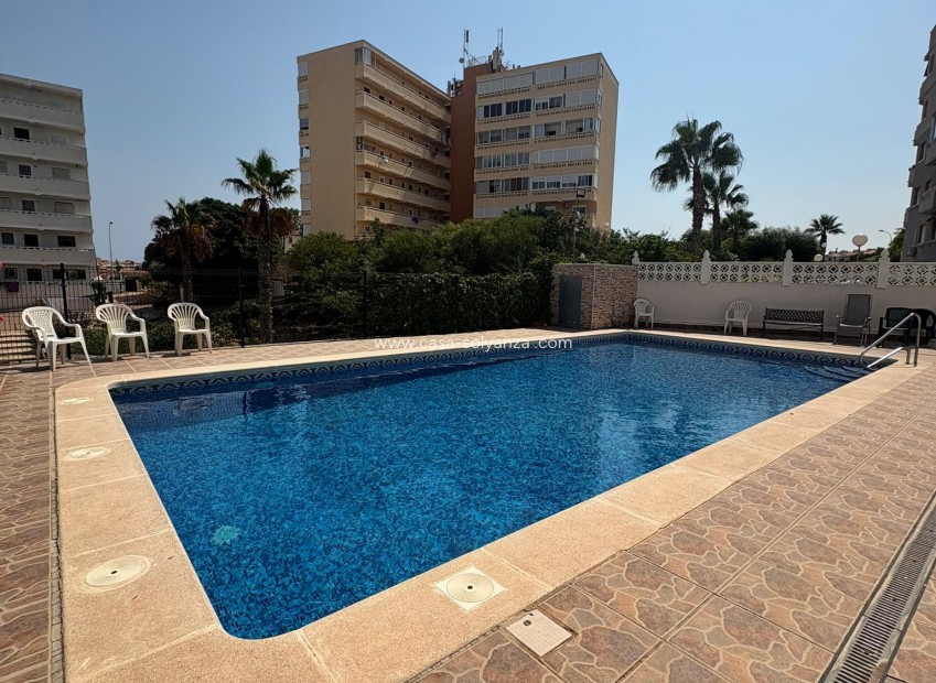 Resale - Apartment / flat - Torrevieja - 0