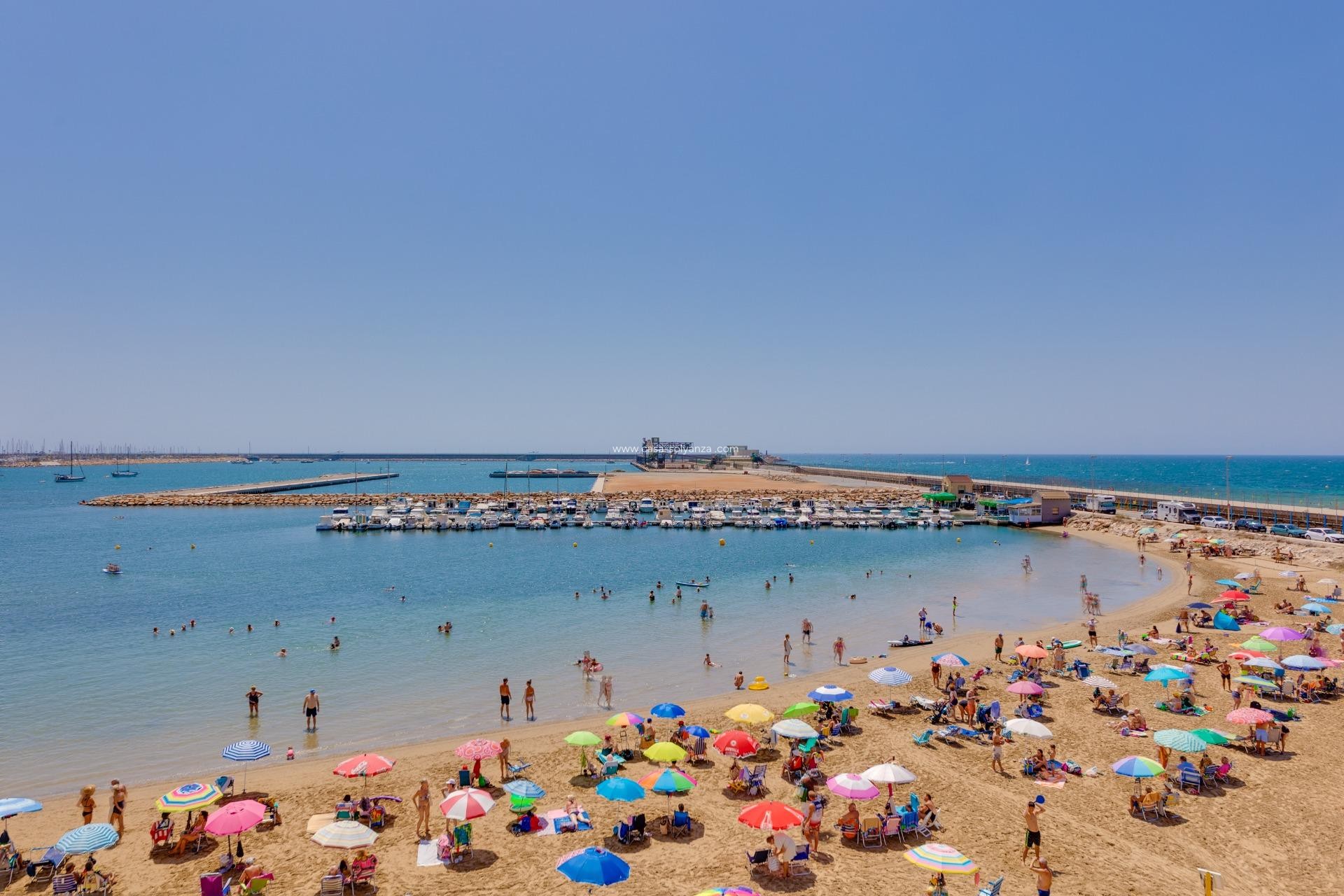 Resale - Apartment / flat - Torrevieja - Acequion