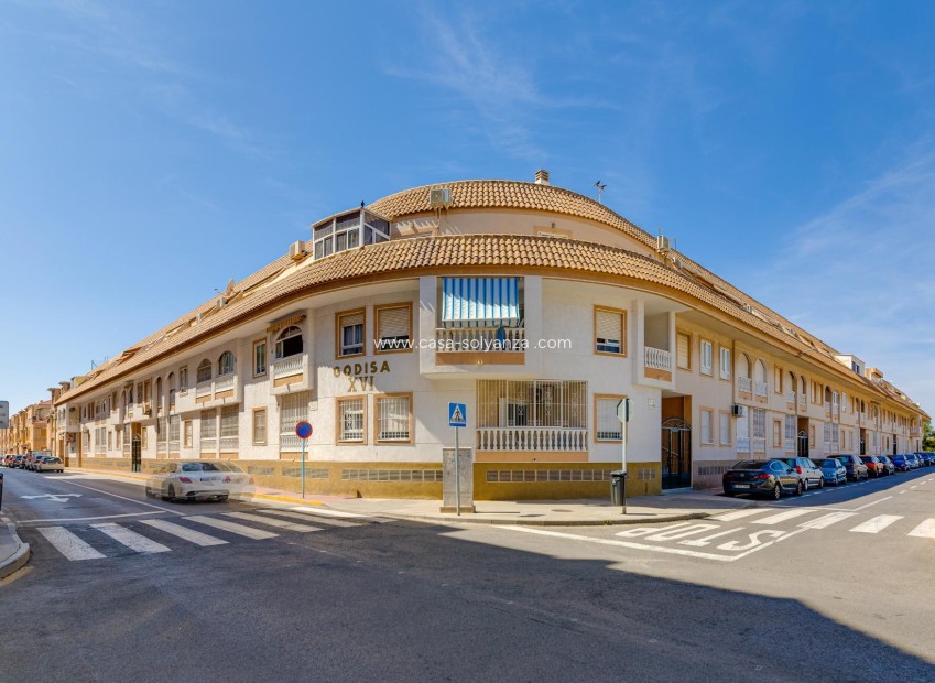 Resale - Apartment / flat - Torrevieja - Acequion