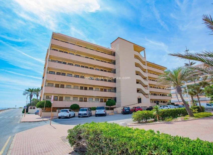 Resale - Apartment / flat - Torrevieja - Cabo cervera