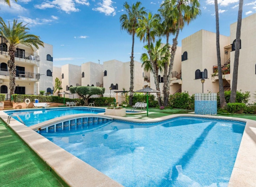Resale - Apartment / flat - Torrevieja - Cabo cervera