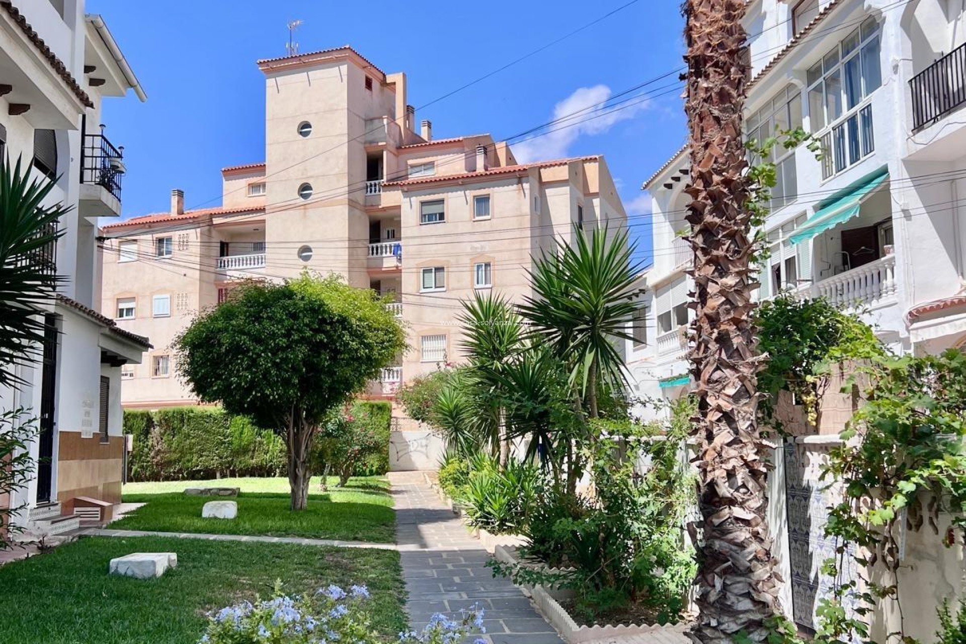 Resale - Apartment / flat - Torrevieja - Calas Blanca