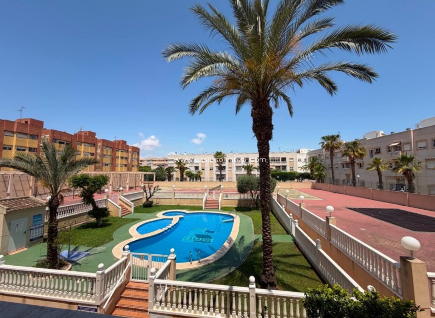 Resale - Apartment / flat - Torrevieja - Center