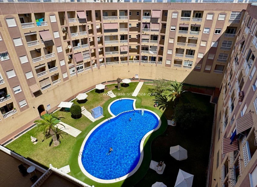 Resale - Apartment / flat - Torrevieja - Center