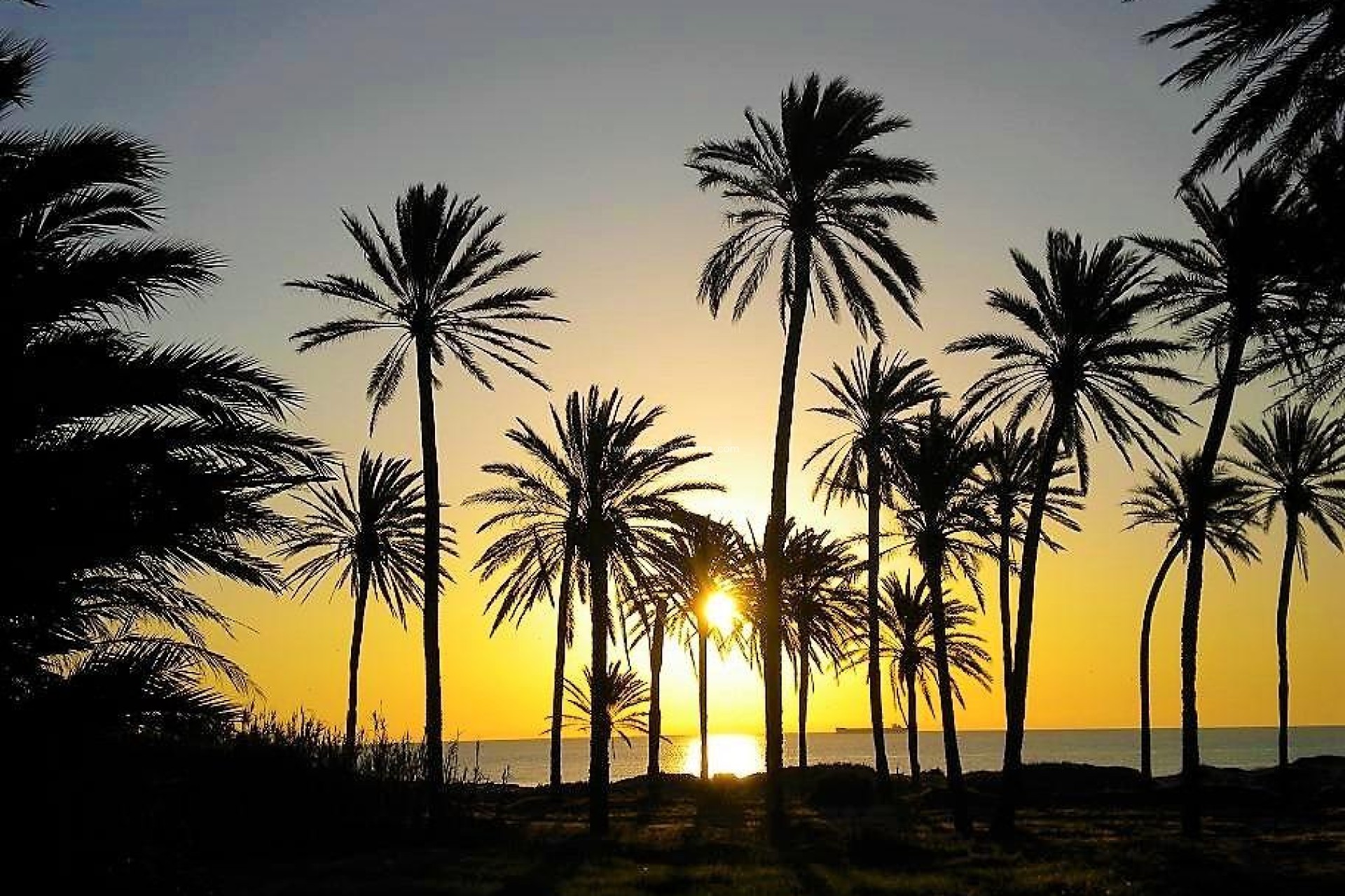 Resale - Apartment / flat - Torrevieja - Center