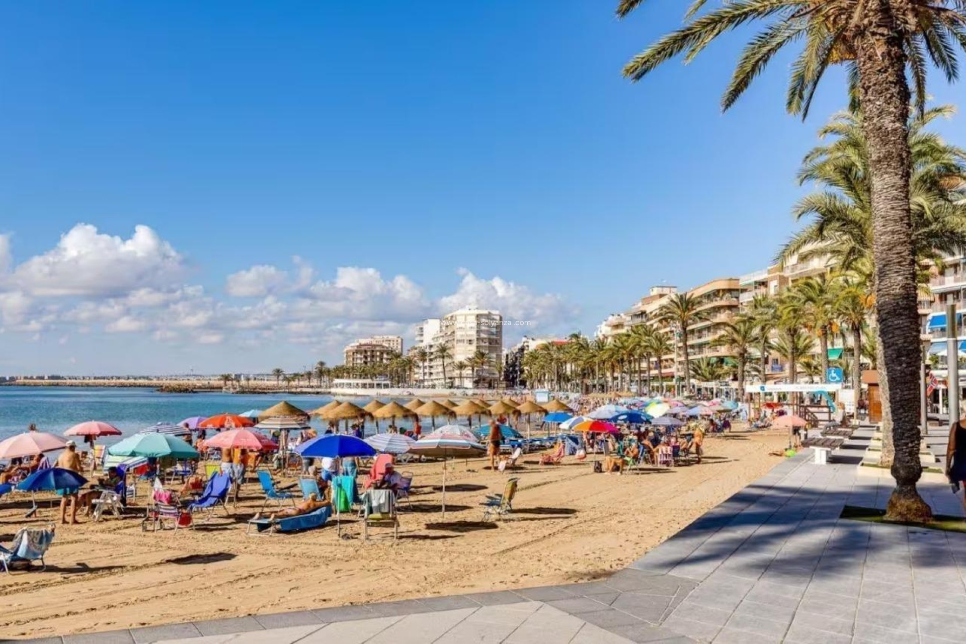 Resale - Apartment / flat - Torrevieja - Center