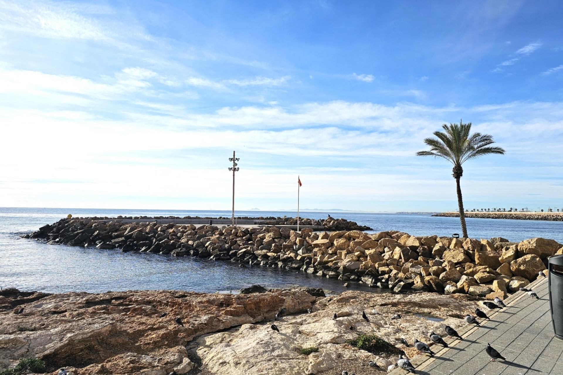 Resale - Apartment / flat - Torrevieja - Center