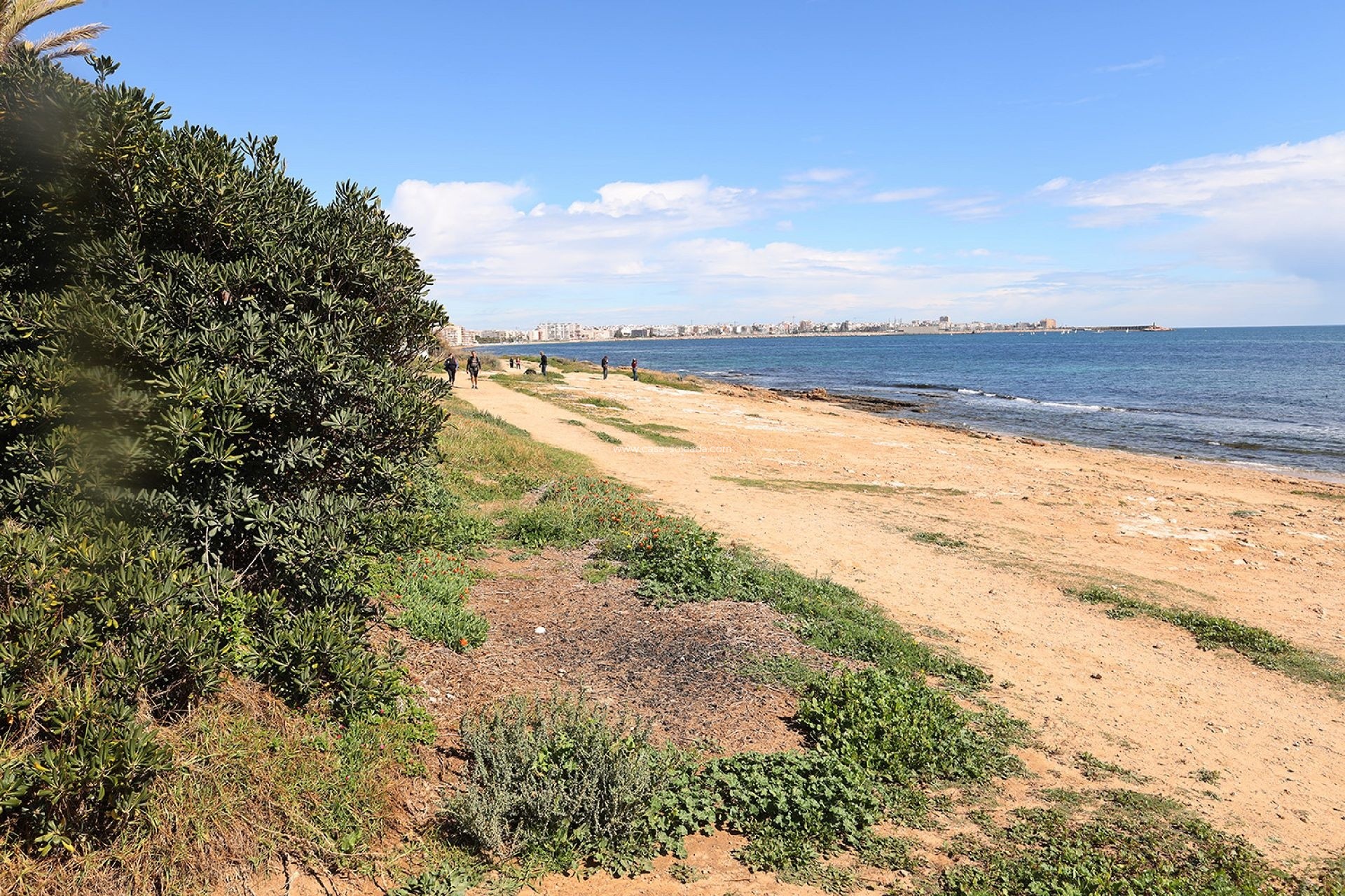Resale - Apartment / flat - Torrevieja - Costa Blanca
