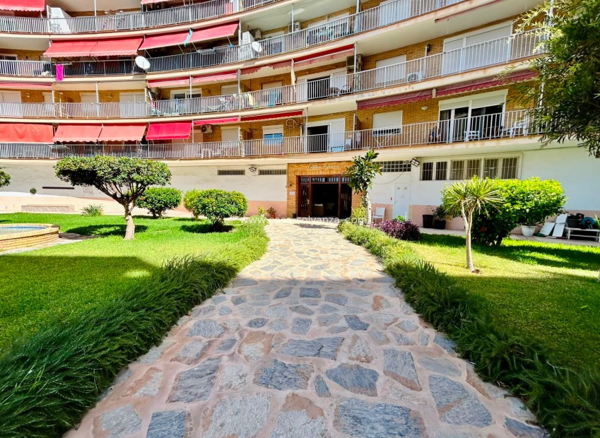 Resale - Apartment / flat - Torrevieja - Costa Blanca
