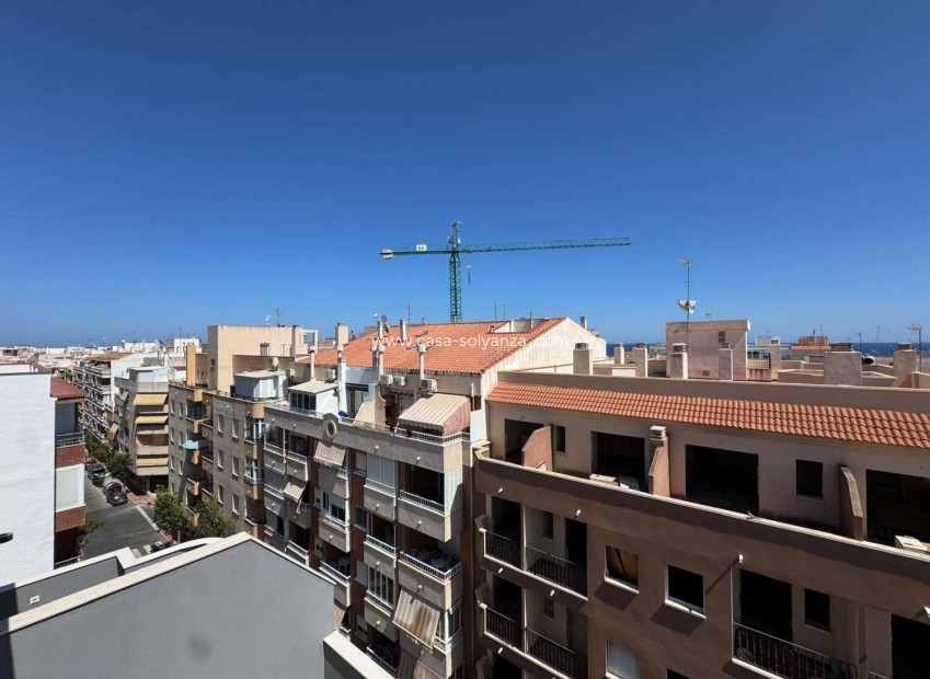 Resale - Apartment / flat - Torrevieja - Costa Blanca