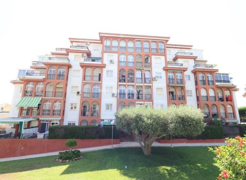 Resale - Apartment / flat - Torrevieja - Costa Blanca