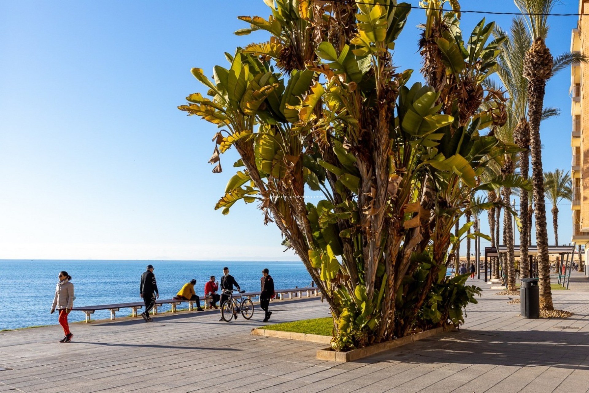 Resale - Apartment / flat - Torrevieja - Costa Blanca