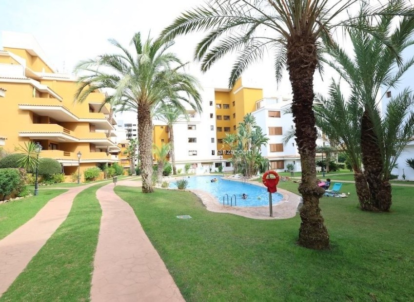 Resale - Apartment / flat - Torrevieja - Costa Blanca