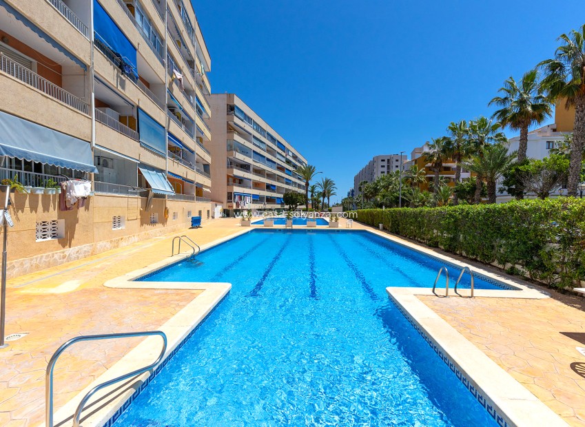 Resale - Apartment / flat - Torrevieja - Costa Blanca