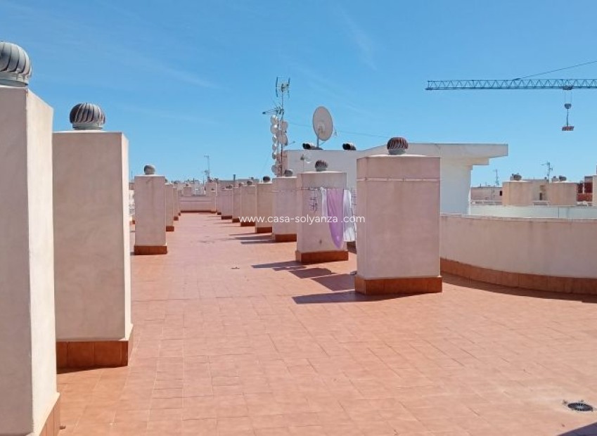 Resale - Apartment / flat - Torrevieja - Costa Blanca