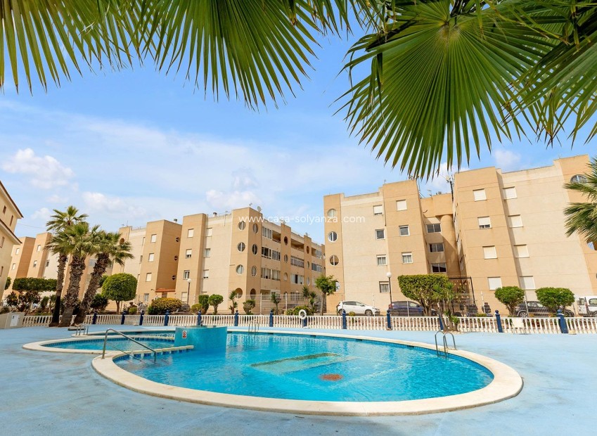 Resale - Apartment / flat - Torrevieja - Costa Blanca