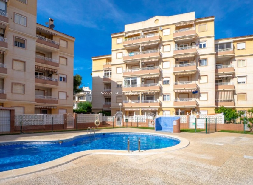 Resale - Apartment / flat - Torrevieja - Costa Blanca