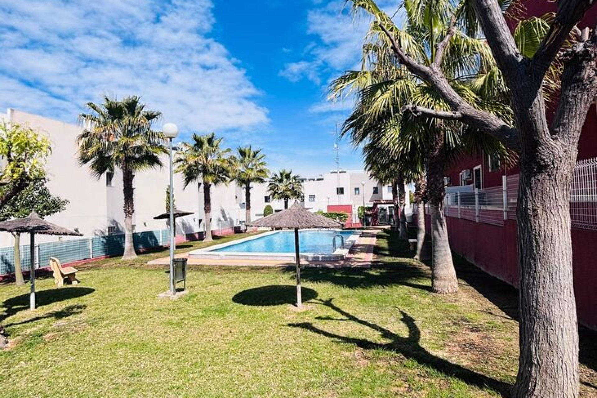 Resale - Apartment / flat - Torrevieja - Costa Blanca