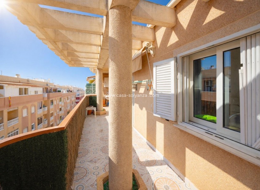 Resale - Apartment / flat - Torrevieja - Costa Blanca