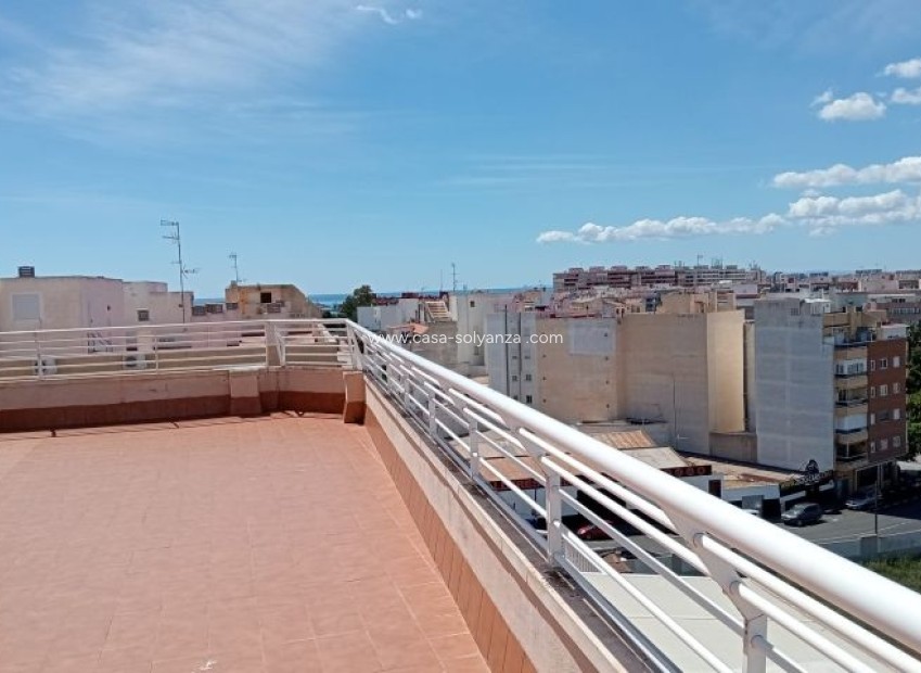 Resale - Apartment / flat - Torrevieja - Costa Blanca