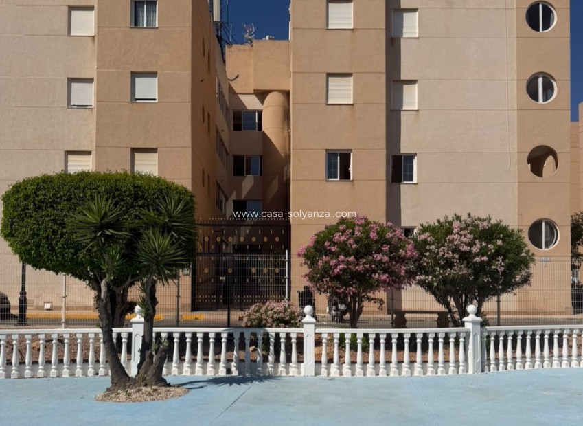 Resale - Apartment / flat - Torrevieja - Costa Blanca