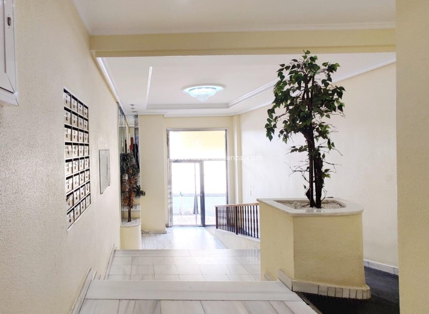 Resale - Apartment / flat - Torrevieja - Curva Del Palangre