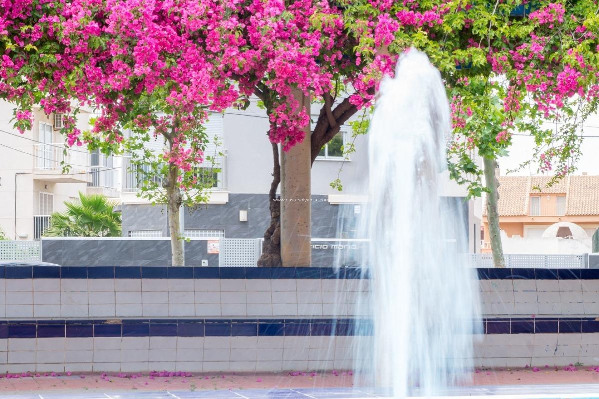 Resale - Apartment / flat - Torrevieja - Estacion Autobuses