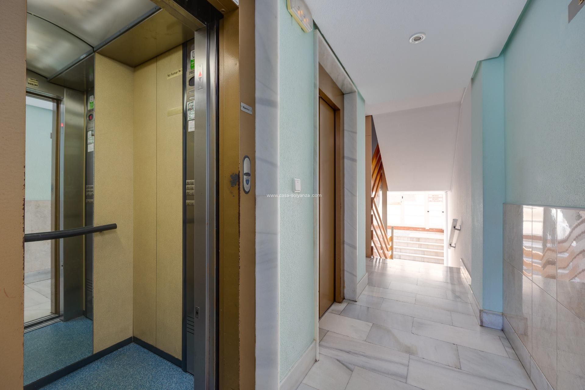 Resale - Apartment / flat - Torrevieja - Estacion Autobuses