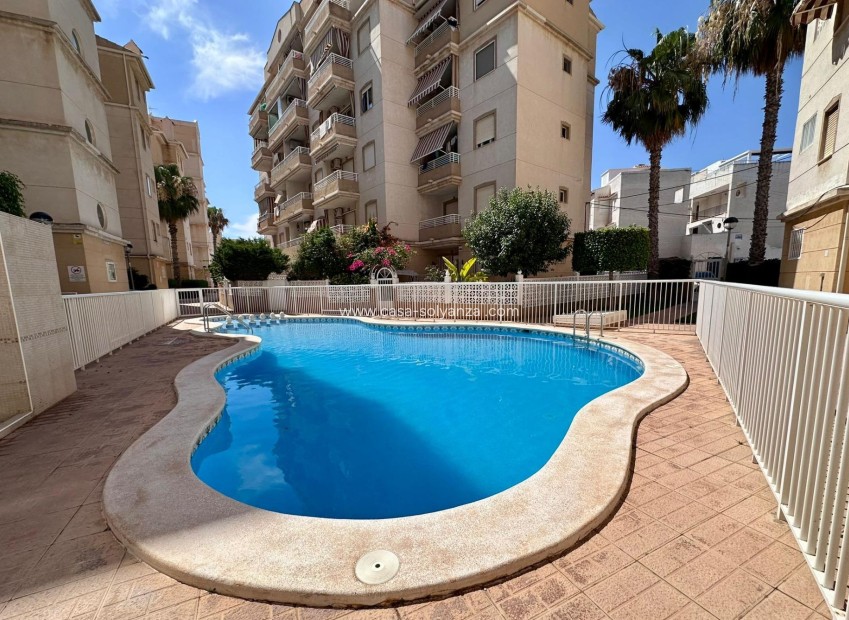Resale - Apartment / flat - Torrevieja - Habaneras