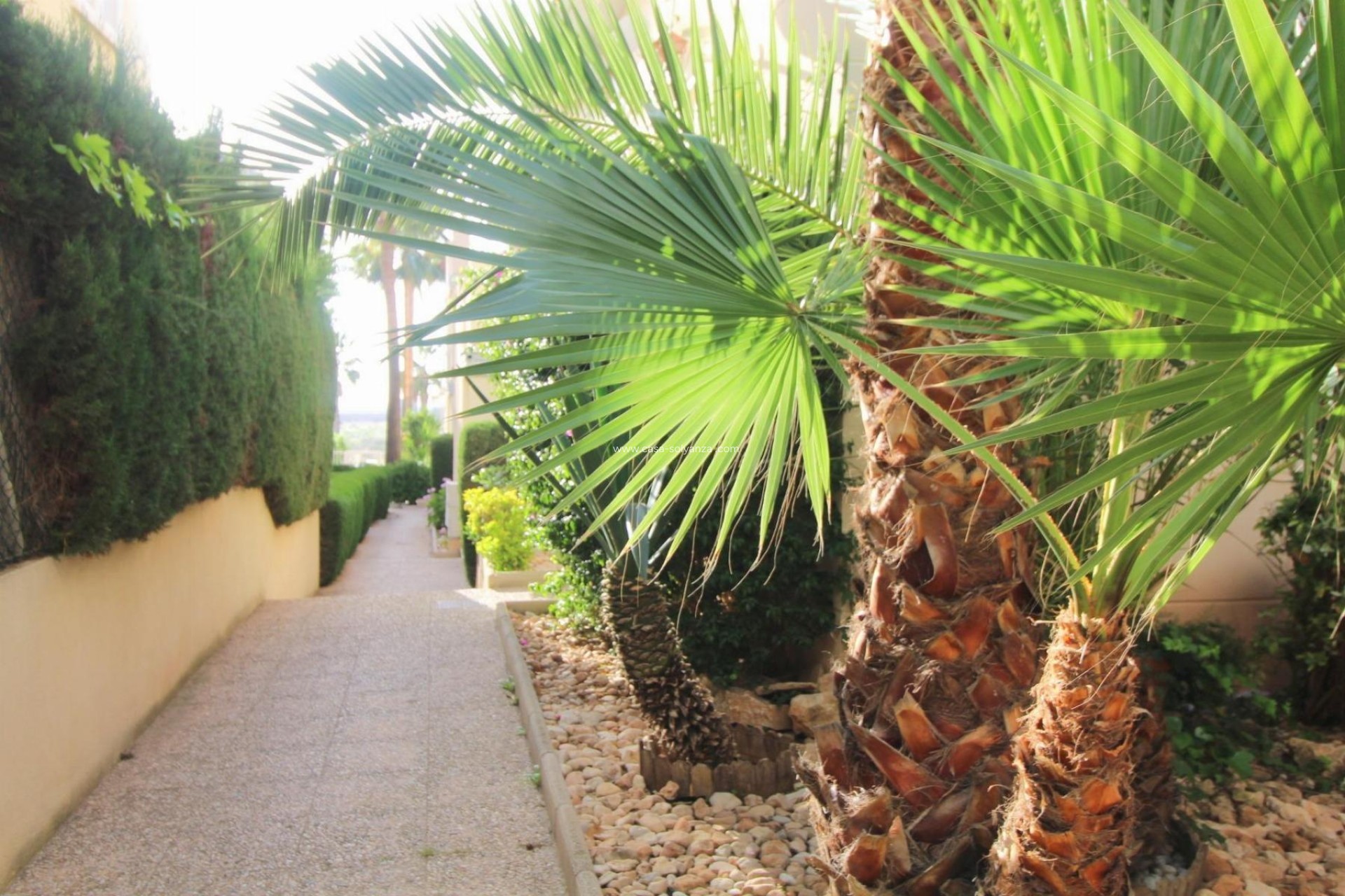 Resale - Apartment / flat - Torrevieja - La veleta