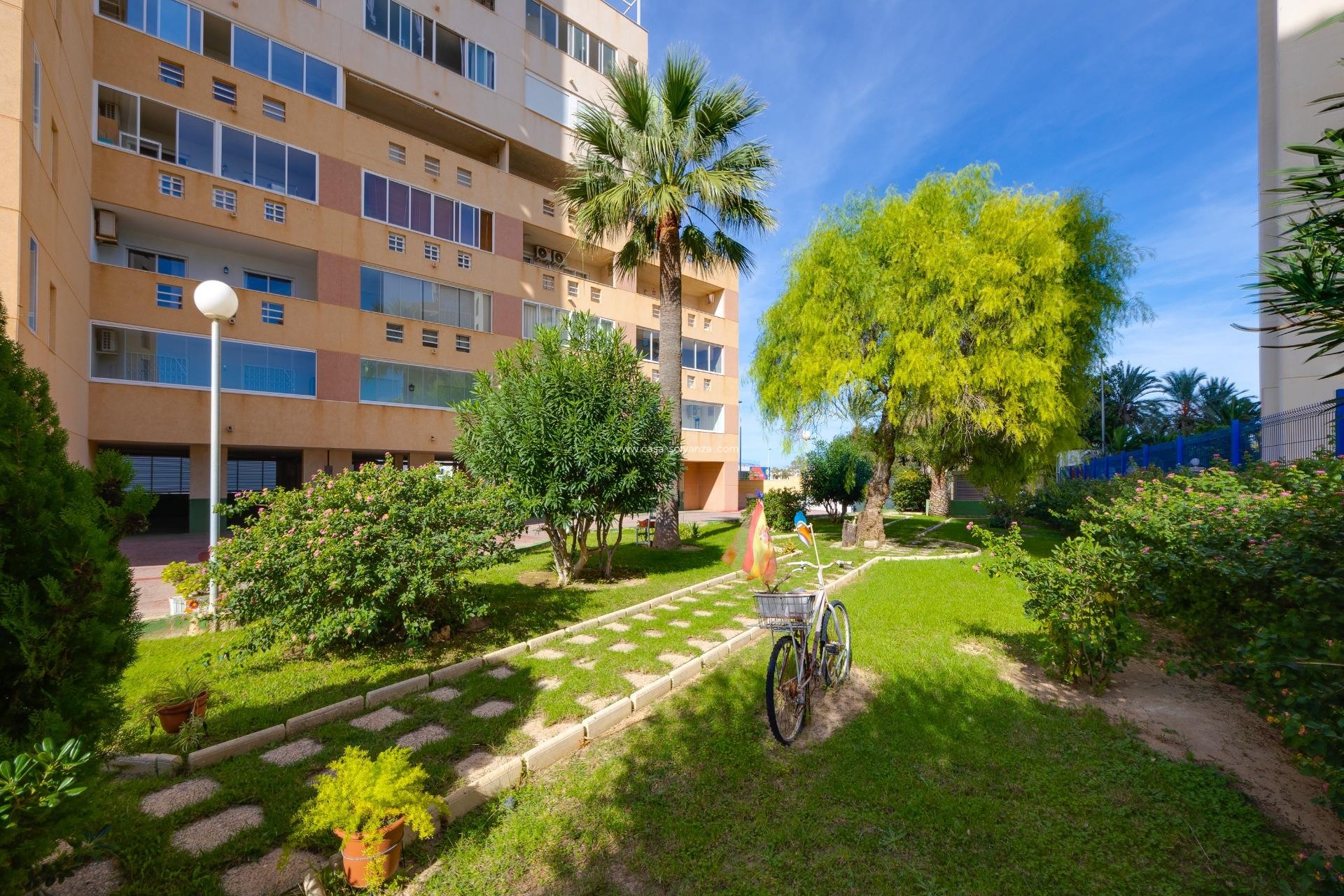 Resale - Apartment / flat - Torrevieja - La veleta