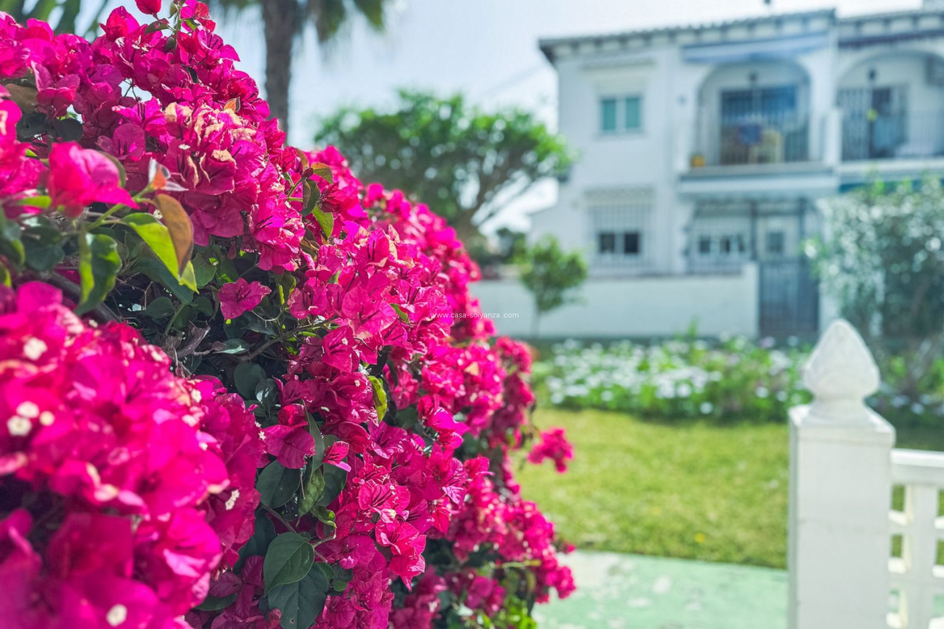 Resale - Apartment / flat - Torrevieja - Lago jardin