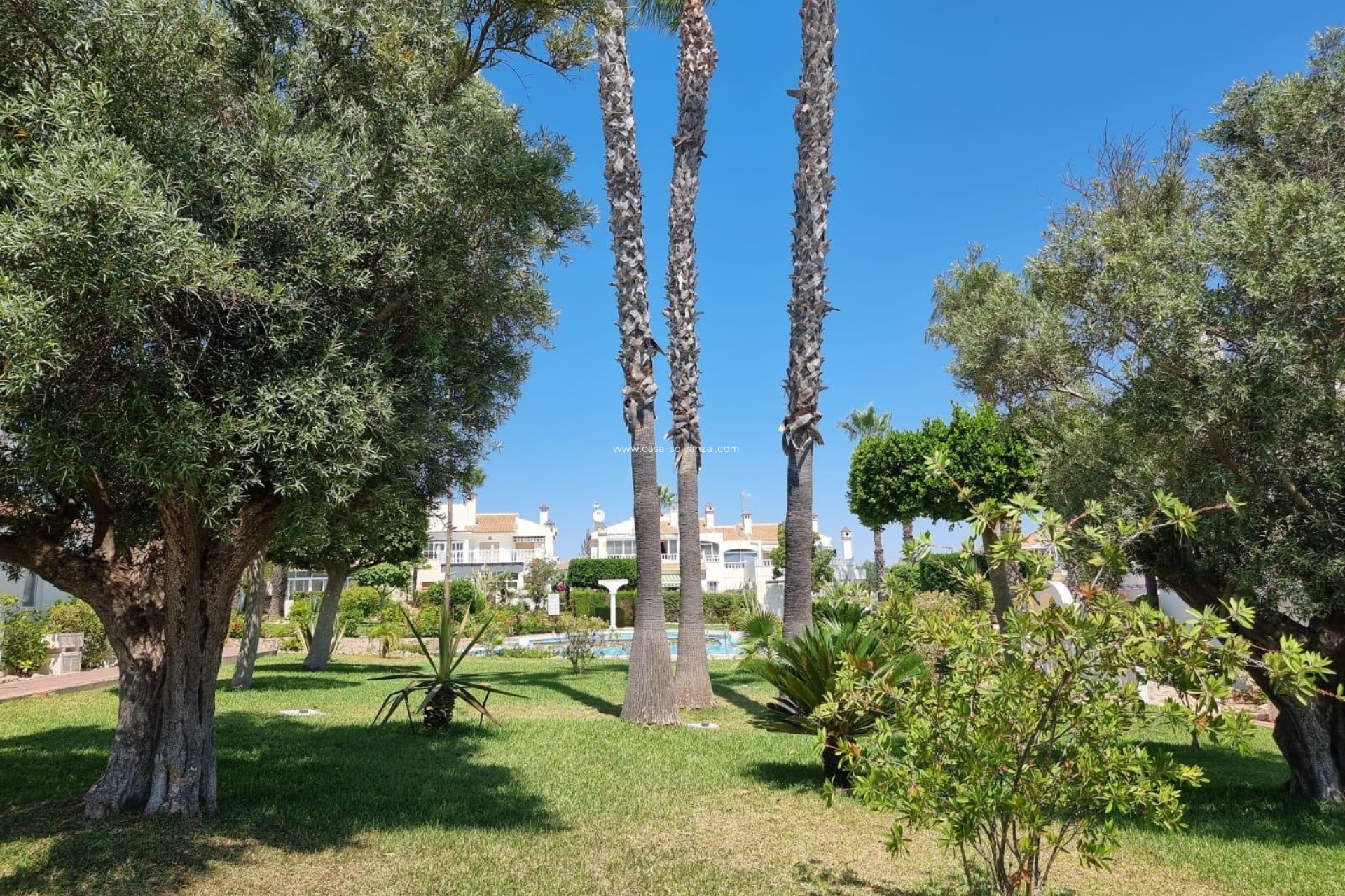 Resale - Apartment / flat - Torrevieja - Los Balcones