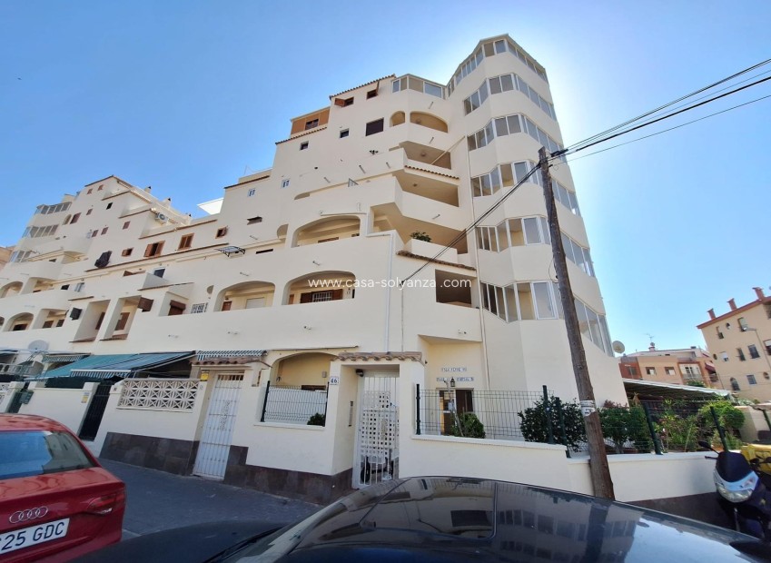 Resale - Apartment / flat - Torrevieja - Nueva Torrevieja