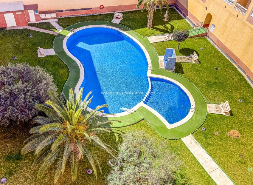 Resale - Apartment / flat - Torrevieja - Parque de las Naciones