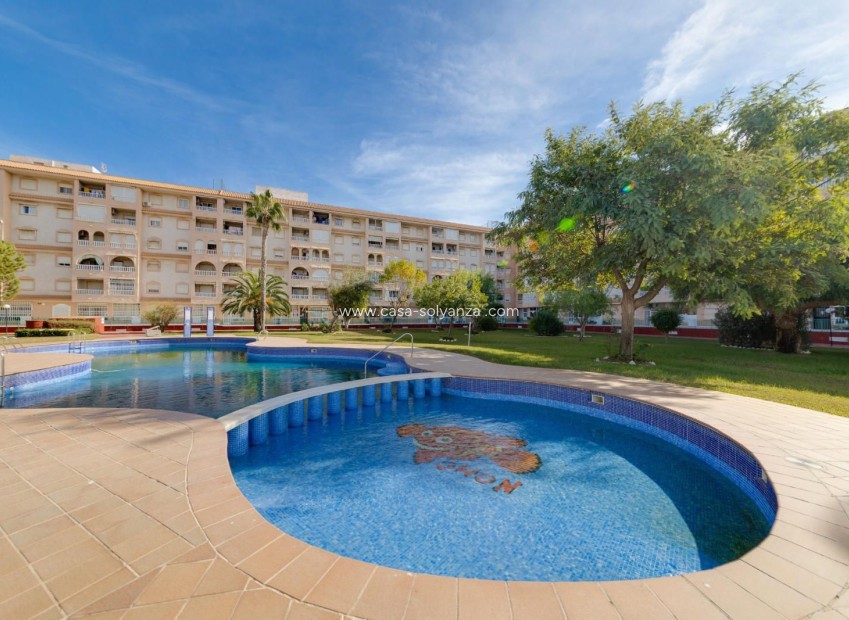 Resale - Apartment / flat - Torrevieja - Parque Las Naciones