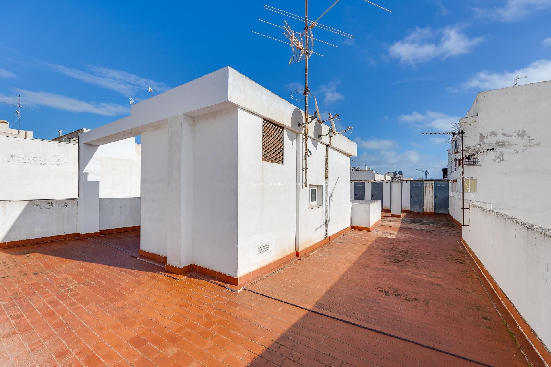 Resale - Apartment / flat - Torrevieja - Paseo Maritimo
